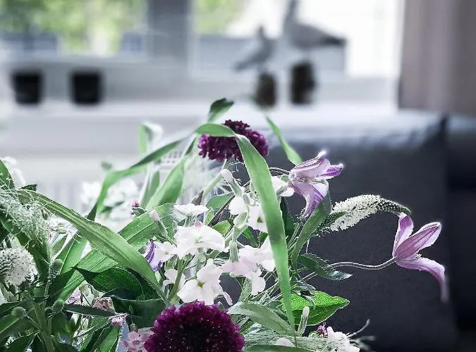 Apartmán Nordic Sea *