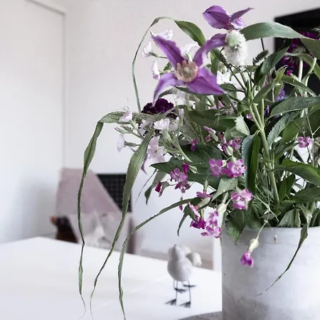 Nordic Sea * Kołobrzeg